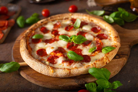 Delicous pizza with hot salami, parmesan and fresh basilの写真素材