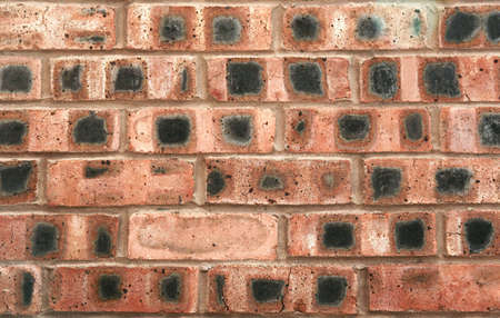 A section of brick wall for use as background or texture