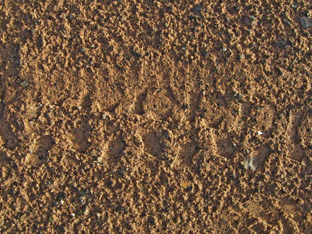 Pattern in course damp sand