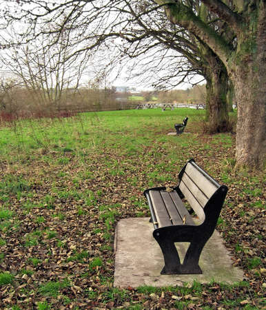 A park bench - late Autumnの写真素材