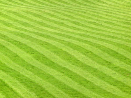 Abstract grass pattern in fieldの写真素材
