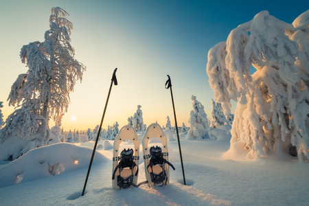 Winter landscape with snow and trees and blue skyの写真素材