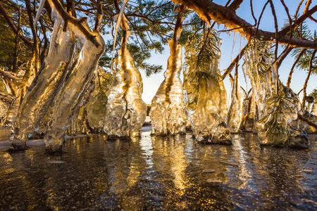 Beautiful Ice by lakeside at wintertime in Wildernessの写真素材
