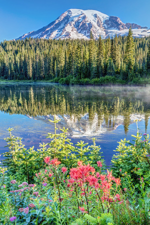 Reflection lake with wildflowers on a calm morning. Mount Rainier National Park, Washington State, Usa.の写真素材