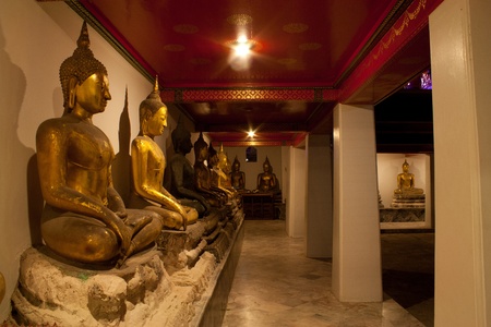 Buddha ,wat phoの写真素材