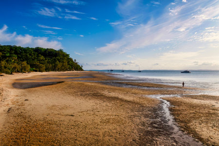 Australia Gold Coast Beach sandyの写真素材