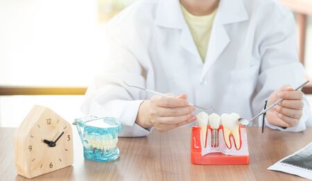 Implant dental model in dental care concept.