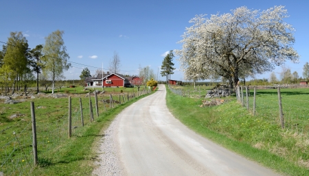Country road to the Swedish village の写真素材