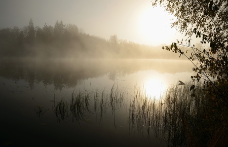 Morning s fog over the lake の写真素材
