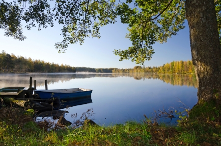 Idyllic lake landscape in foggy morning の写真素材