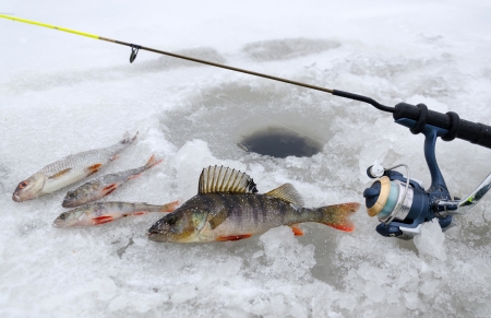 Winter fishing in the lakeの写真素材