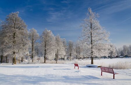 Beautiful winter landscape with red benchesの写真素材