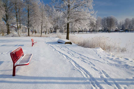 Red benches close to frozen lakeの写真素材