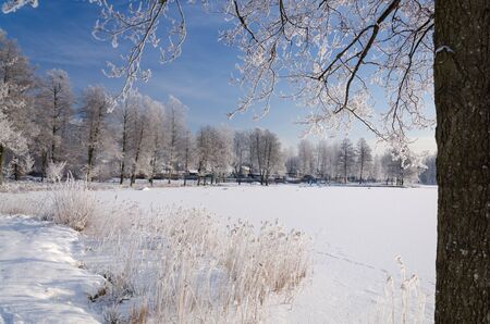 Winter frame of Swedish lakeの写真素材