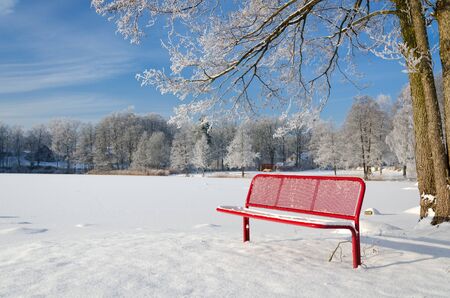 Red bench in winter seasonの写真素材