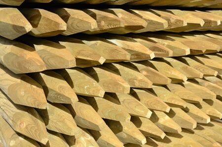 Impregnated wood in row の写真素材