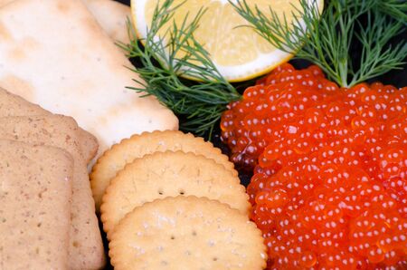 Closeup for caviar appetizerの写真素材