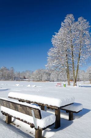 Wooden benches covered by snowの写真素材