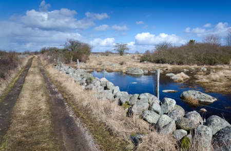Spring country road between Swedish fieldsの写真素材