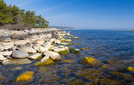 Swedish Baltic shore in Aprilの写真素材