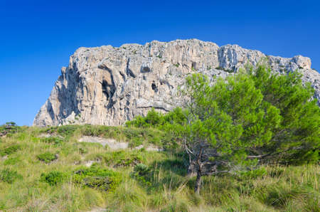 Beautiful nature on Majorcaの写真素材