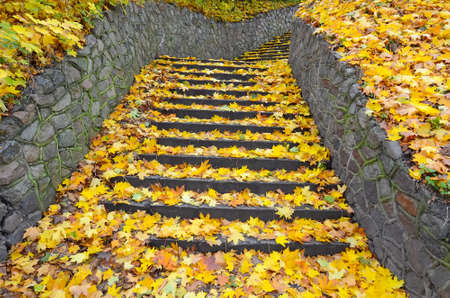City stairs in autumn colorsの写真素材