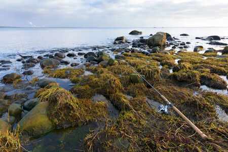 Winter sea trout fishing compositionの写真素材