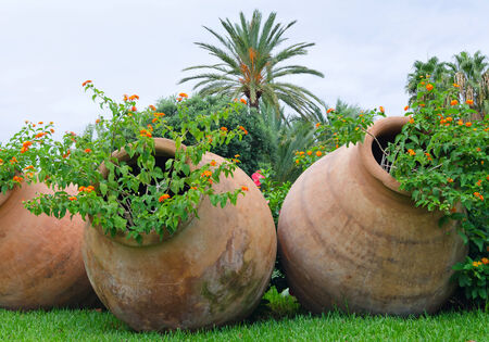 Old jugs like a flower potsの写真素材