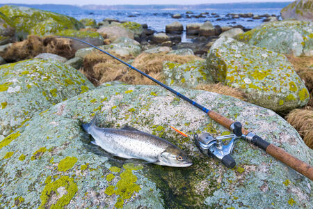 Early spring sea trout fishing