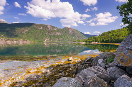Beautiful summer view of Norwegian fjord