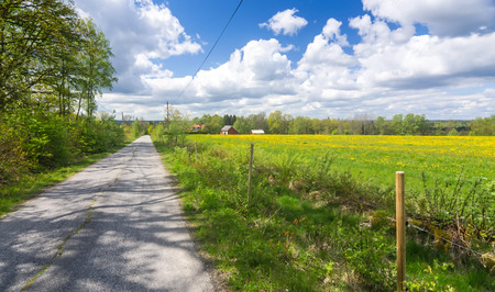 Swedish road through the spring fieldsの写真素材