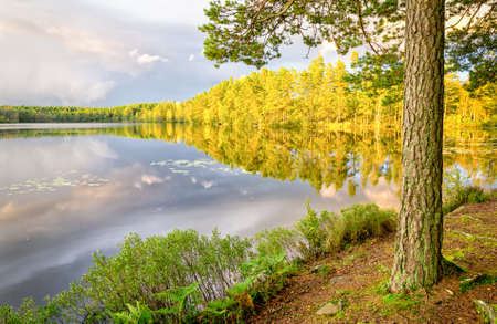 Swedish lake in Septemberの写真素材
