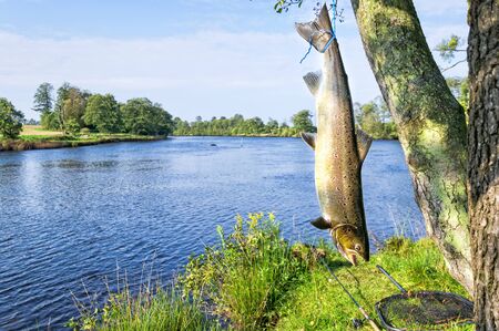 Salmon fishing scenery in Swedish riverの写真素材
