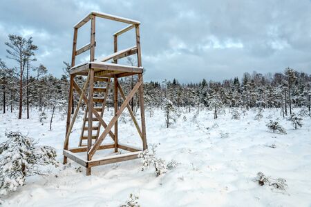 Swedish hunting tower in winter sceneryの写真素材