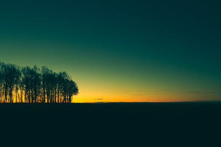 Germany or Africa?の写真素材