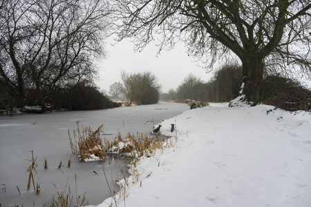Snowy winter scene at the Basingstoke Canal near Odiham in Hampshireの写真素材