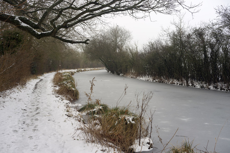Snowy winter scene at the Basingstoke Canal near Odiham in Hampshireの写真素材