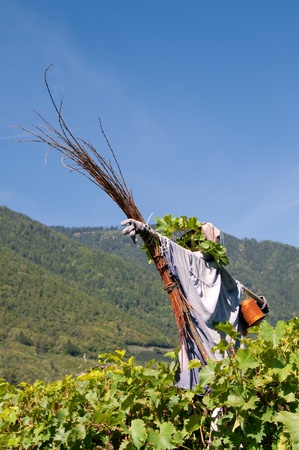 Straw Manの写真素材