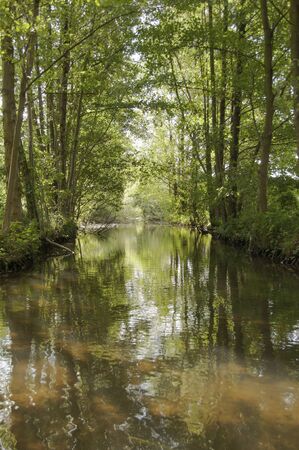 Boat trip in the biosphere reserve of Spreewald, Germanyの写真素材