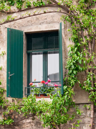 Window in a old house, wall covered by plantsの写真素材