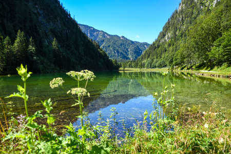 Panorama of Lake FÃ¶rchensee in Southern Bavariaの写真素材