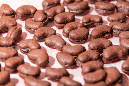 Brown Christmas Cookies Filled with Sweet Espresso Creamの写真素材