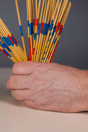 Start Of A Mikado Match With The Familyの写真素材