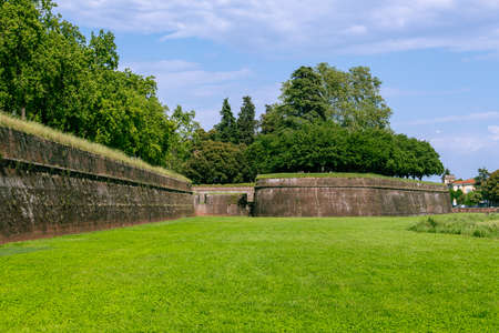 The Famous City Wall Of Lucca In Tuscanyの写真素材