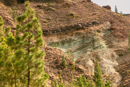 Colorful Silicate Minerals Close To Veneguera On Gran Canariaの写真素材