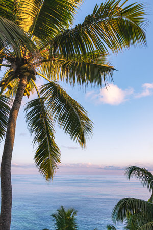 Romantic Mood At The Lookout On The Westcoast Of Praslin, Seychellesの写真素材