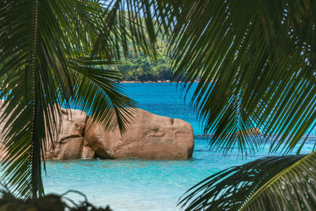 Granite Rock At The Anse Lazio Looks Like A Rhinoの写真素材