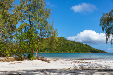 Idyllic Beach Scenery At Baie Ste Anne On Praslin Islandの写真素材