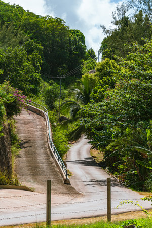 The Steep Narrow Road To Anse La Blague On Praslin Island, Seychellesの写真素材