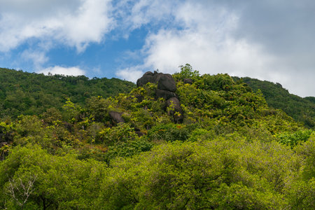 Black Granite Rocks Towering Above The Rainforest On Praslin Island, Seychellesの写真素材